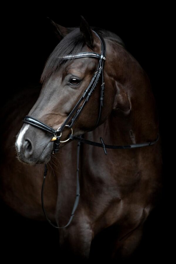 HorseGuard Cryll 24.1 Hannoveransk Trense