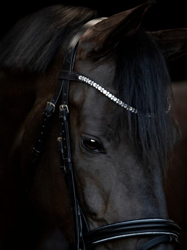 HorseGuard Emi 25.1 Trense - Image 4