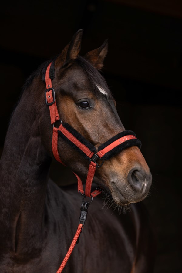 Covalliero Grime - COB - GRÅ