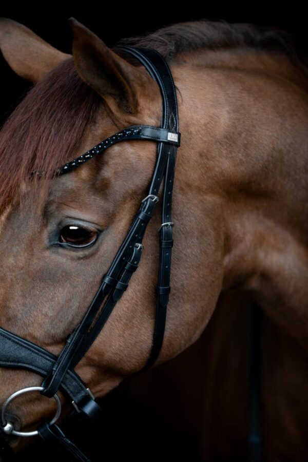 HorseGuard Cryll 24.2 Trense - Image 3