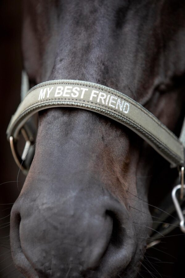 HorseGuard Malva "My Best Friend" Grime - Forest - Image 2