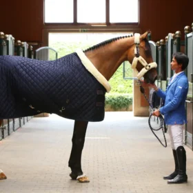 Kentucky Horsewear rideudstyr