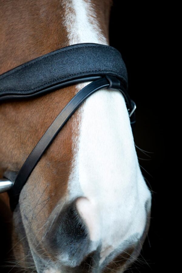 HorseGuard Cryll 24.2 Trense - Image 2