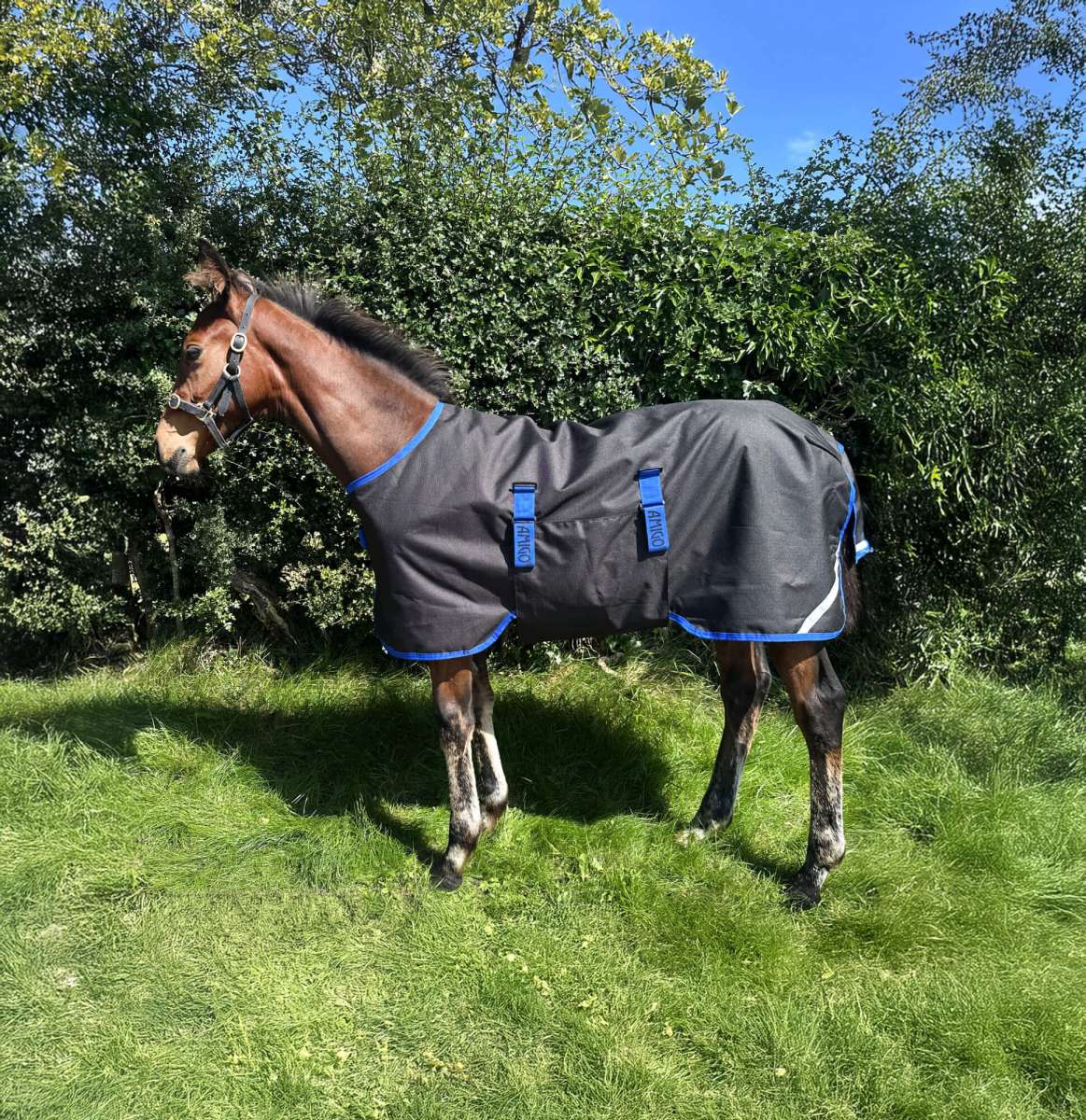 Amigo Ripstop 900 Føldækken - 50 gram - 106 CM