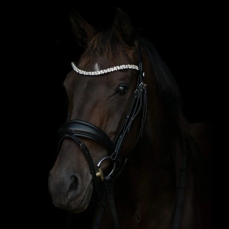 ByWeber Amanda Trense - COB