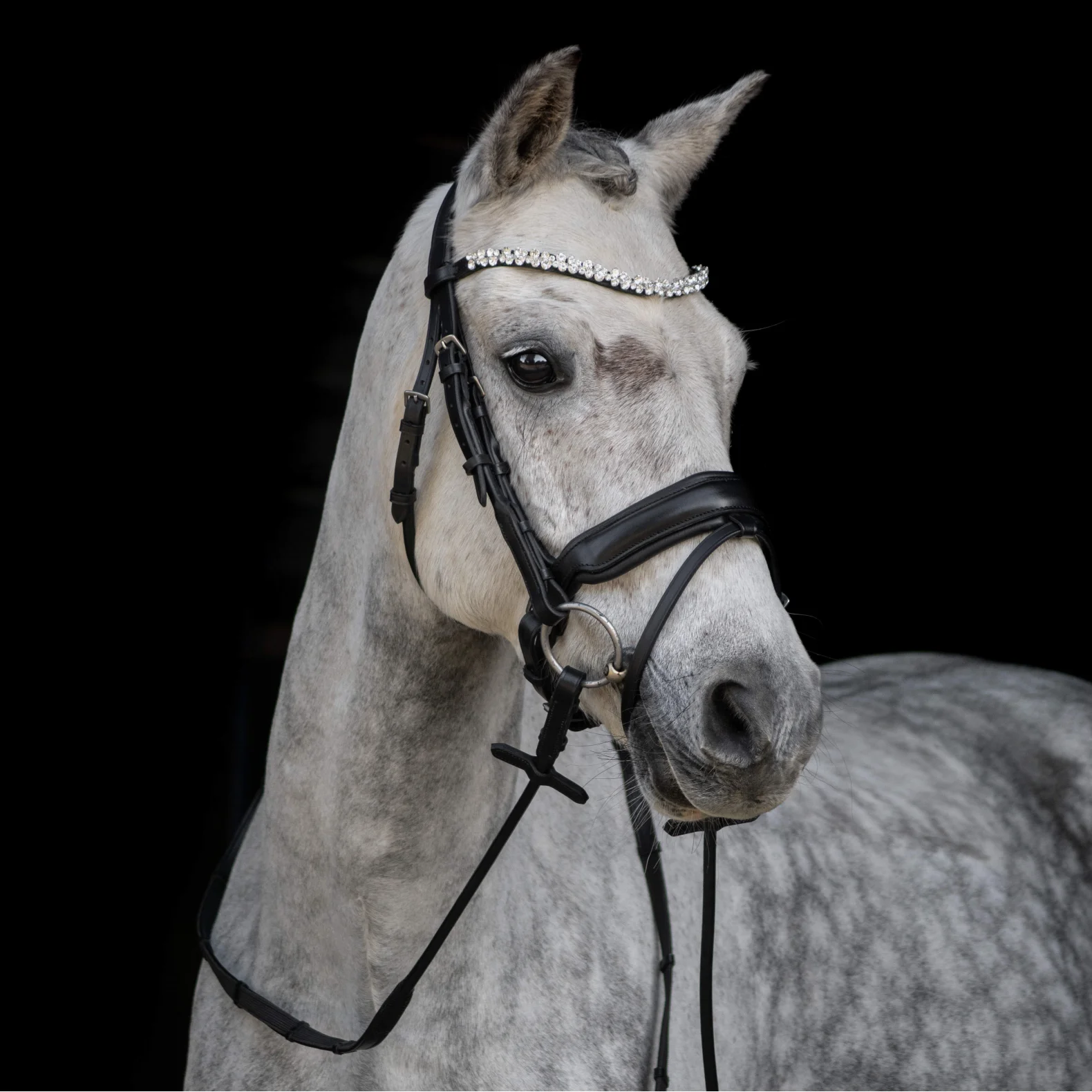 ByWeber Andrea Trense - COB