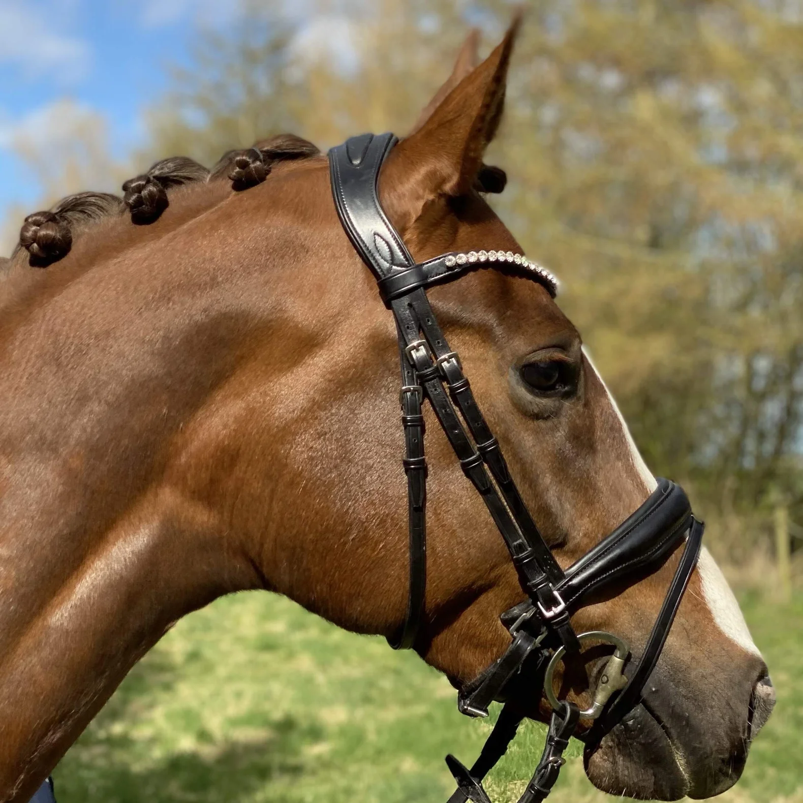 ByWeber Madison Trense - COB