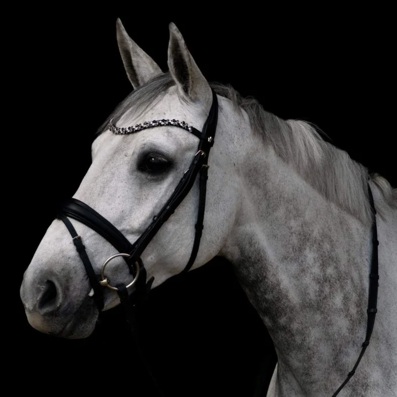 ByWeber Rozetta Trense - COB