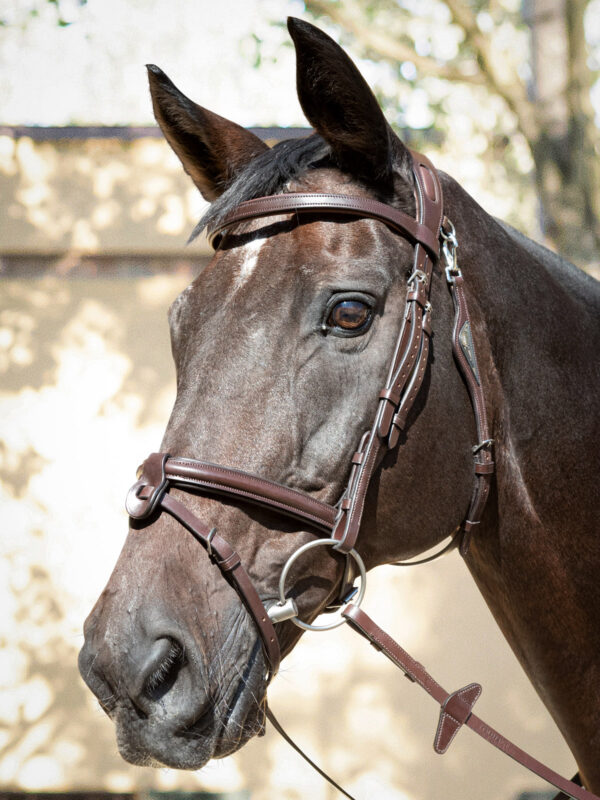 Equiline JP Anatomisk Trense - Image 2