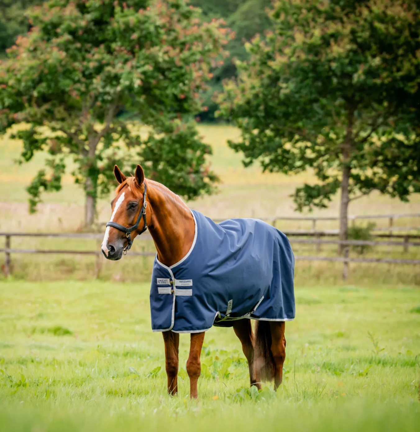 Amigo NEW Ripstop 900, 0 gram (passer til liner system) - 125 CM