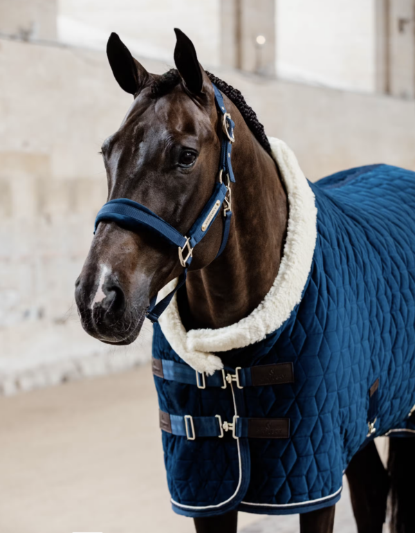 Kentucky Velvet Show Rug, 160 gram - Navy - Image 3