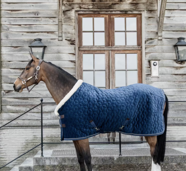 Kentucky Velvet Show Rug, 160 gram - Navy