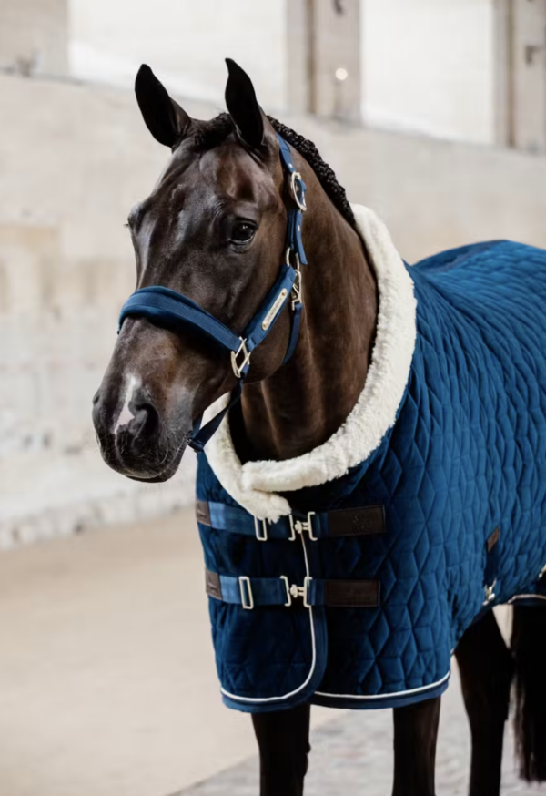 Kentucky Velvet Grime - Navy