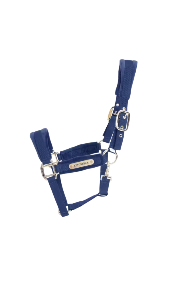 Kentucky Velvet Grime - Navy - Image 3