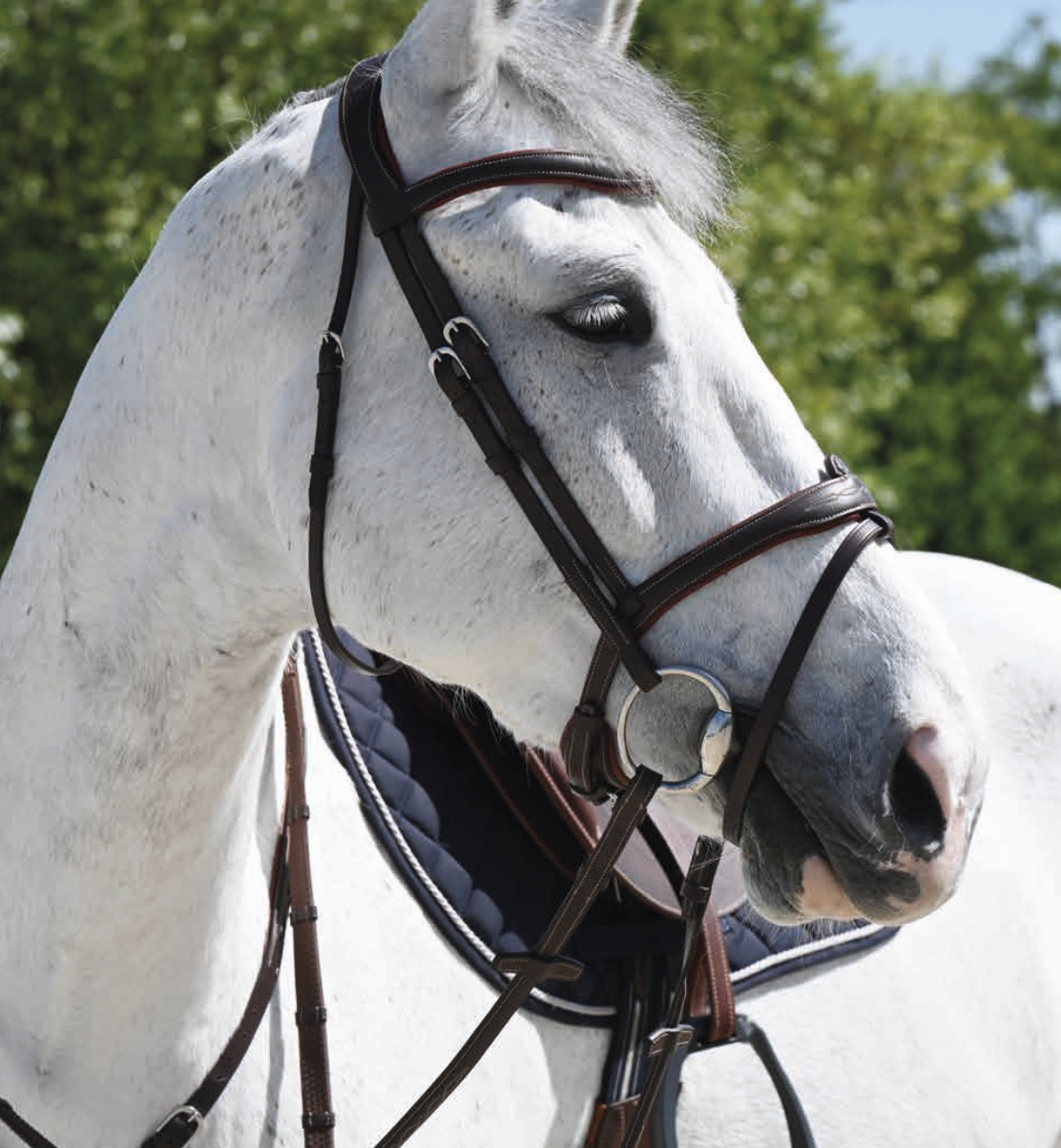 Antares Signature Flash Trense - FULL (STR 2) - BRUN