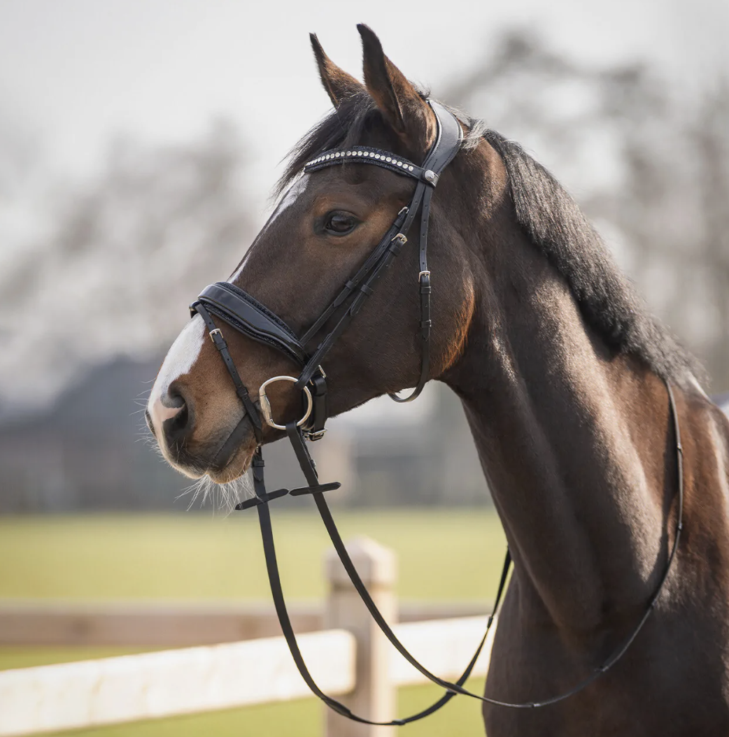 QHP Skye Trense - PONY billede