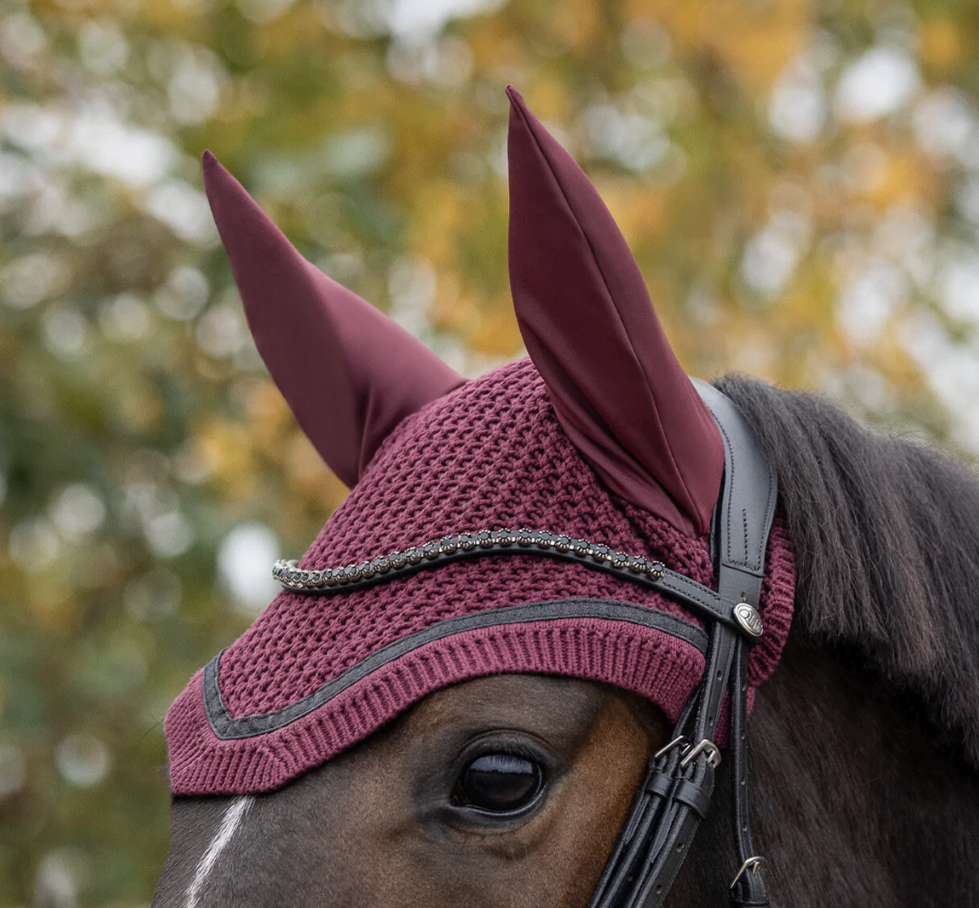 QHP Zahra Hut - STR FULL