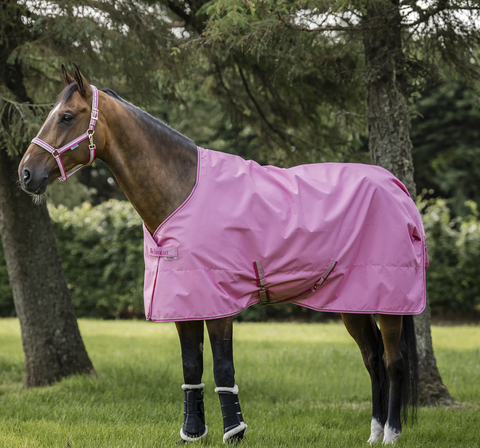 Bucas Freedom Pony Regndækken (Limited Edition) - 105 cm - AURORA PINK