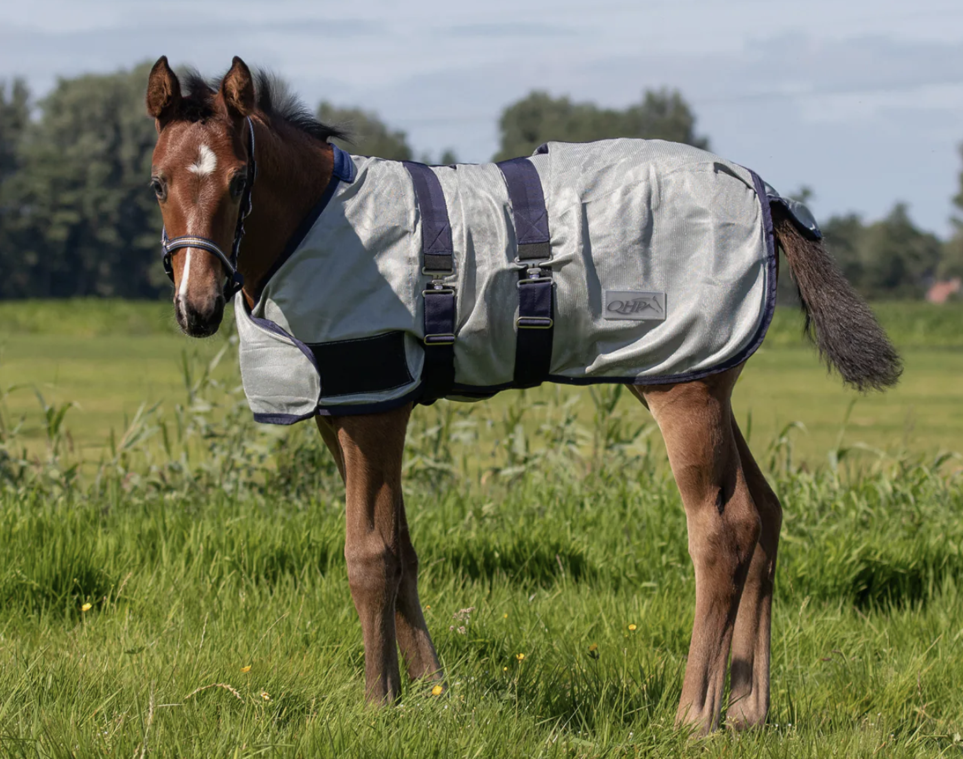QHP Føl Insektdækken - STR 65