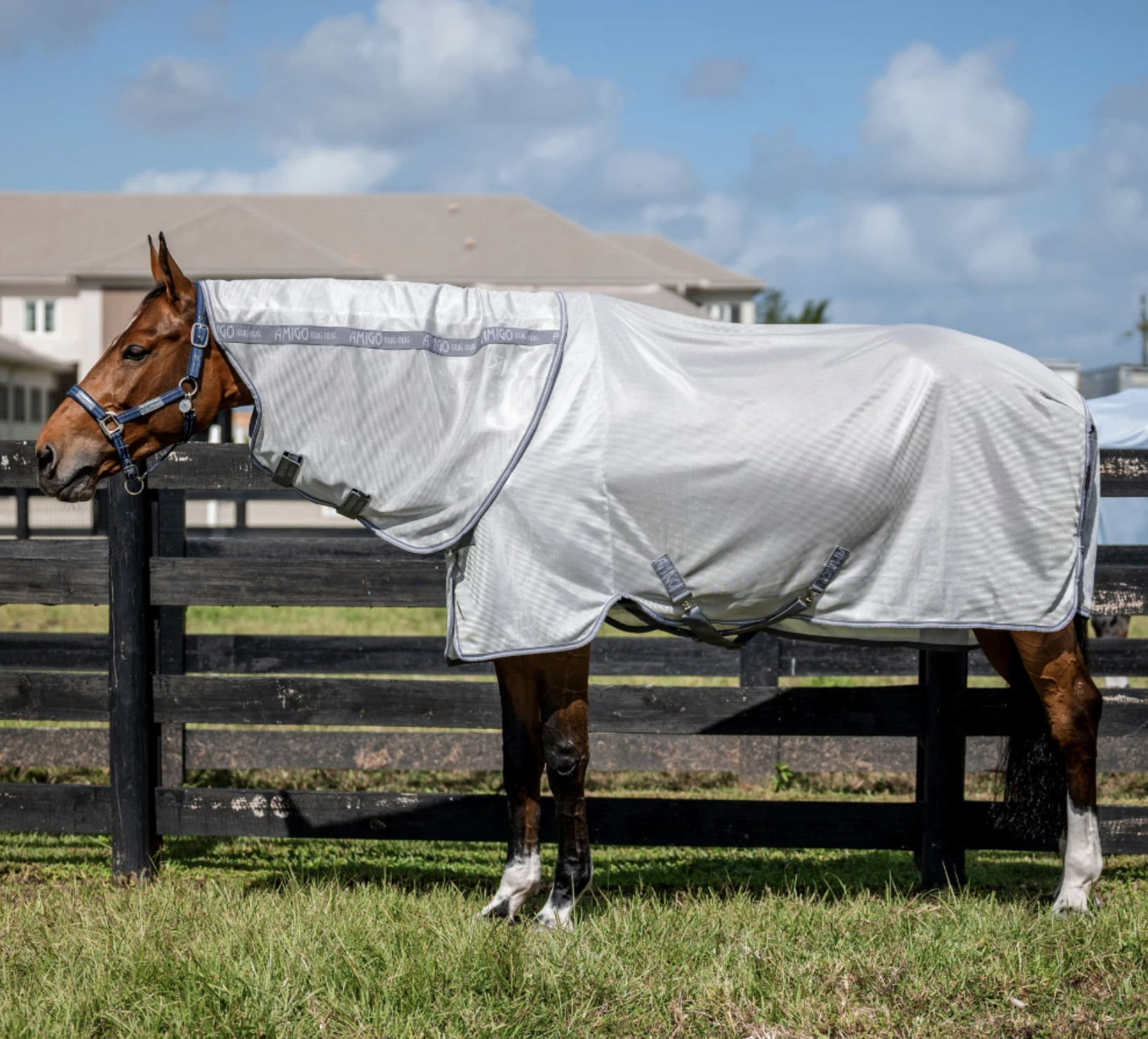 Amigo Bug Rug XL Plus - 145 CM