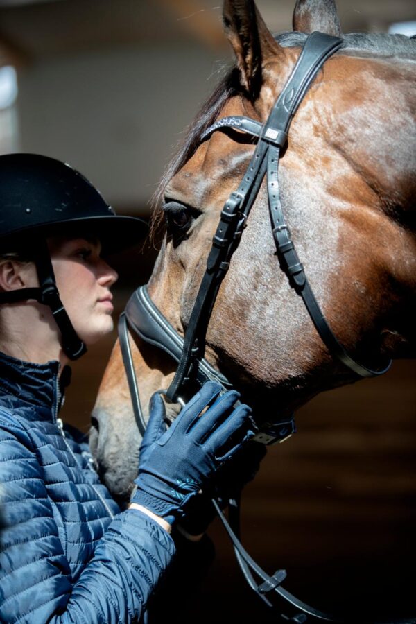 HorseGuard Cryll 25.1 Trense - Image 2