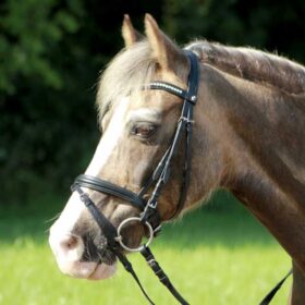 ByWeber hovedtøj og trenser