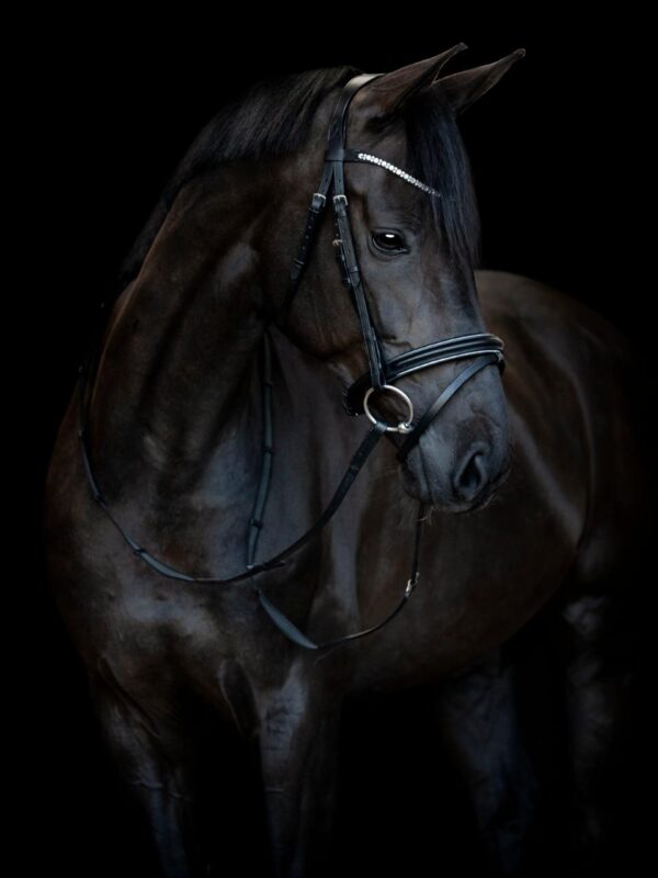 HorseGuard Emi 25.1 Trense - Image 3
