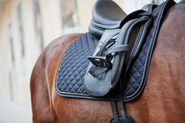 HorseGuard Milva Glitter Underlag - Sort