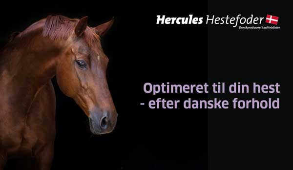 Danske vitaminer, mineraler og specialtilskud til heste