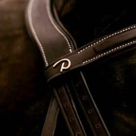 Dyon trenser, fortøj og tøjler