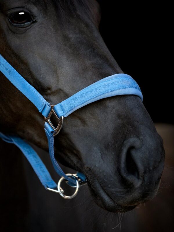 HorseGuard Diya 2.0 Grime - Cornet Blue - Image 3
