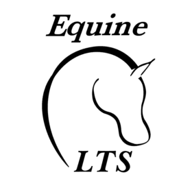 førstehjælp og sårpleje til heste