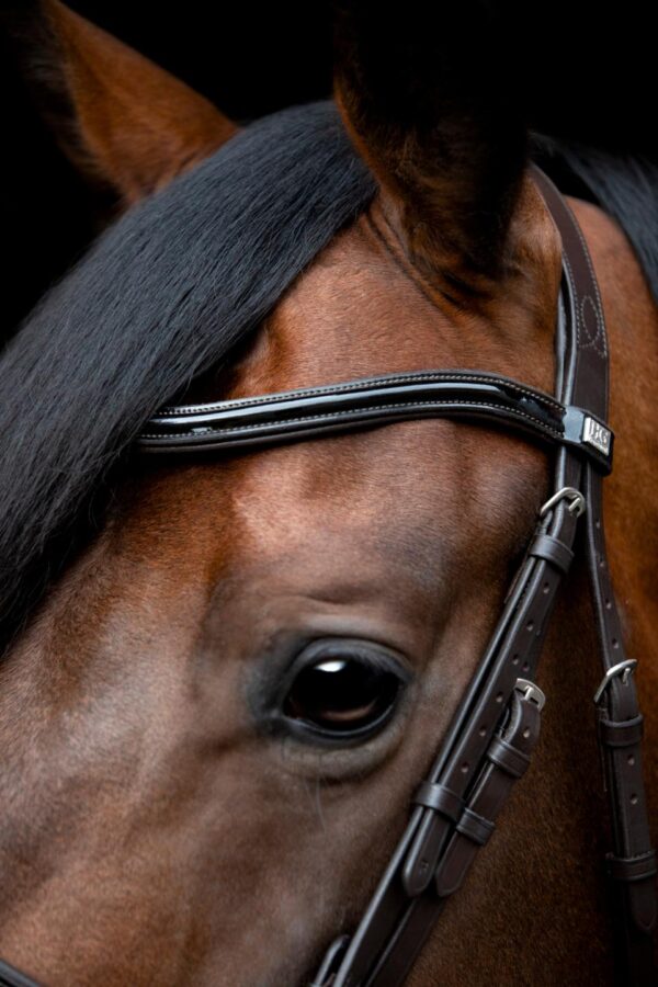 HorseGuard Cryll 24.1 Trense - Image 2