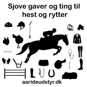 sjove gaveidéer til hest og rytter