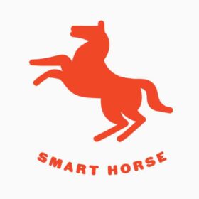 Horse Smart Ridehandsker