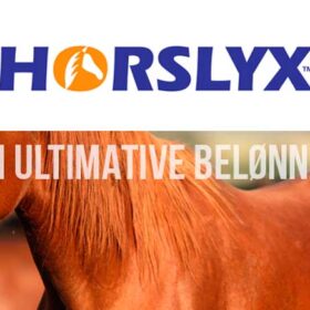 Horslyx godbidder og tilskud til hesten