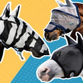 insektmasker og fluemasker til heste