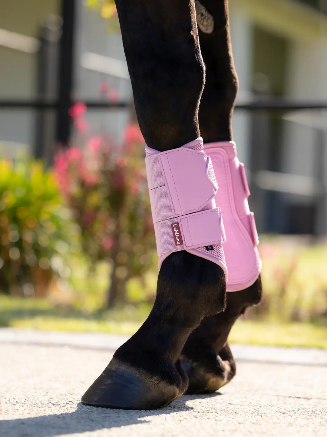 LeMieux Arika Mesh Gamacher – Mallow – STR M