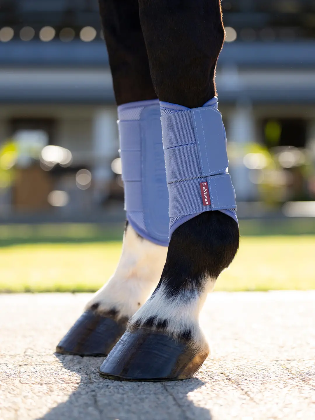 LeMieux Arika Mesh Gamacher – Powder Blue – STR M