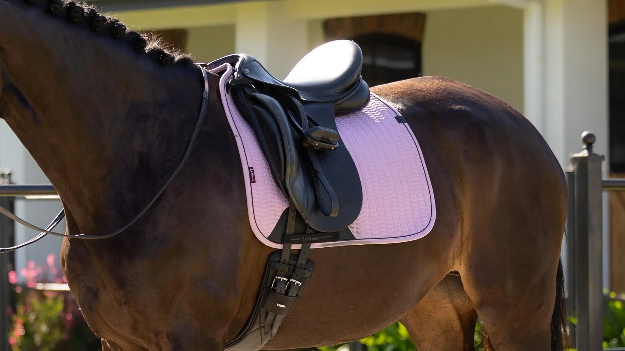 LeMieux Essence Underlag - Fondant - DR17"