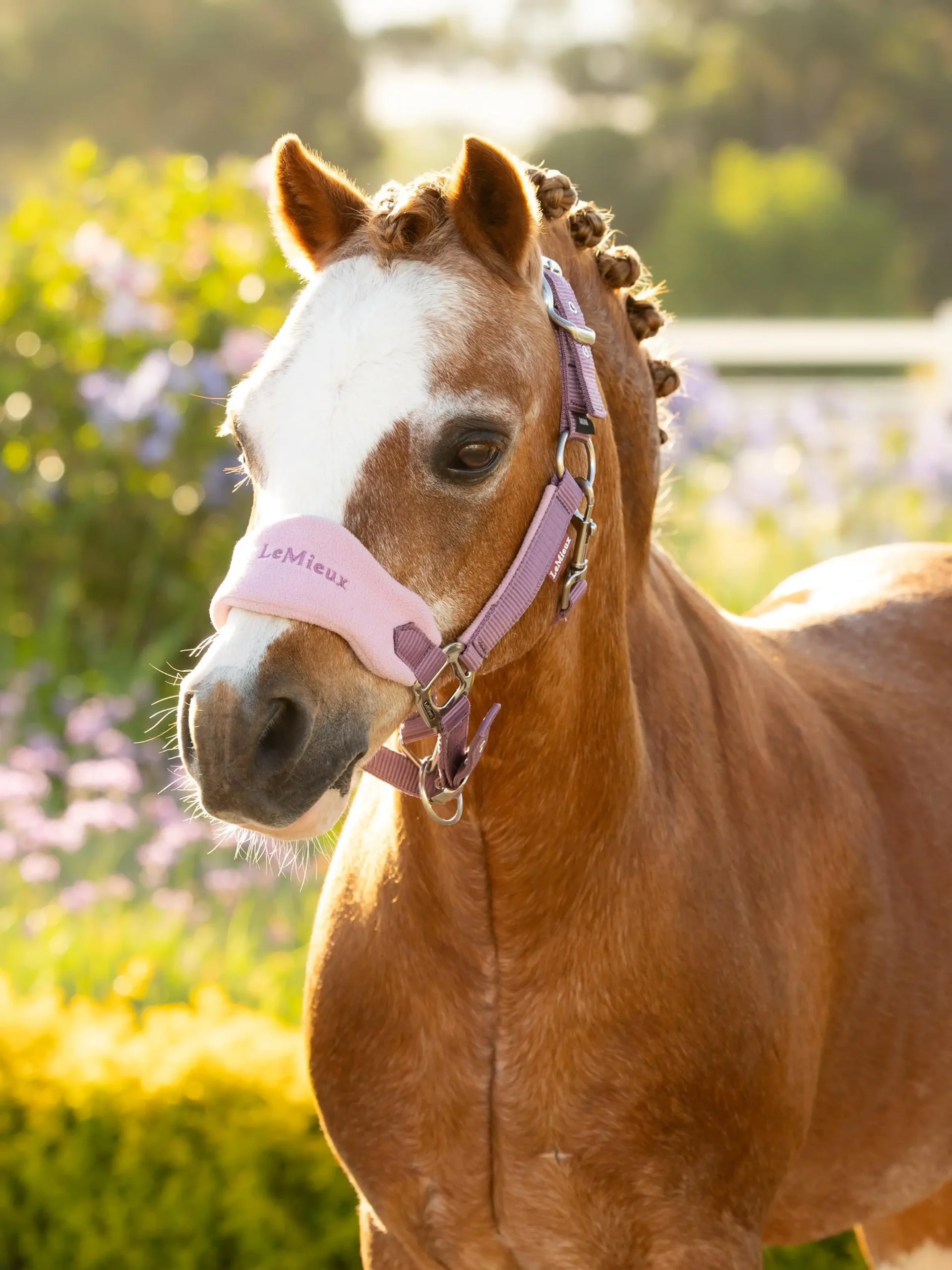LeMieux Voque Mini Grimesæt - Mallow - MINI