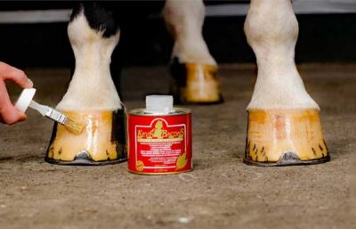 Kevin bacon hovpleje med olie Kevin bacon hovpleje med olie