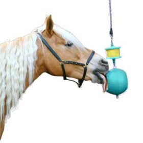 Likit Boredom Breaker og Snak-a-Ball