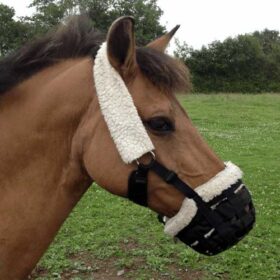 Effektiv mundkurv til hesten