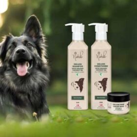 Nathalie Horsecare milde, men effektive hundeshampooer og balsammer,
