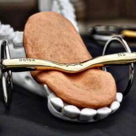 Bid logo-tekst skal vende venstre til højre