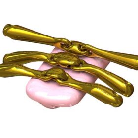 Neue Schule Turtle Top Flex trinsebid