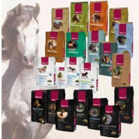 Pavo – Kvalitetsfoder og tilskud til heste