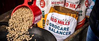 Red mills foder, vitamin og mineraltilskud