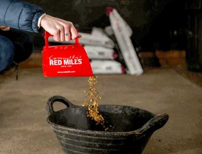 Foder til hesten med særlige krav